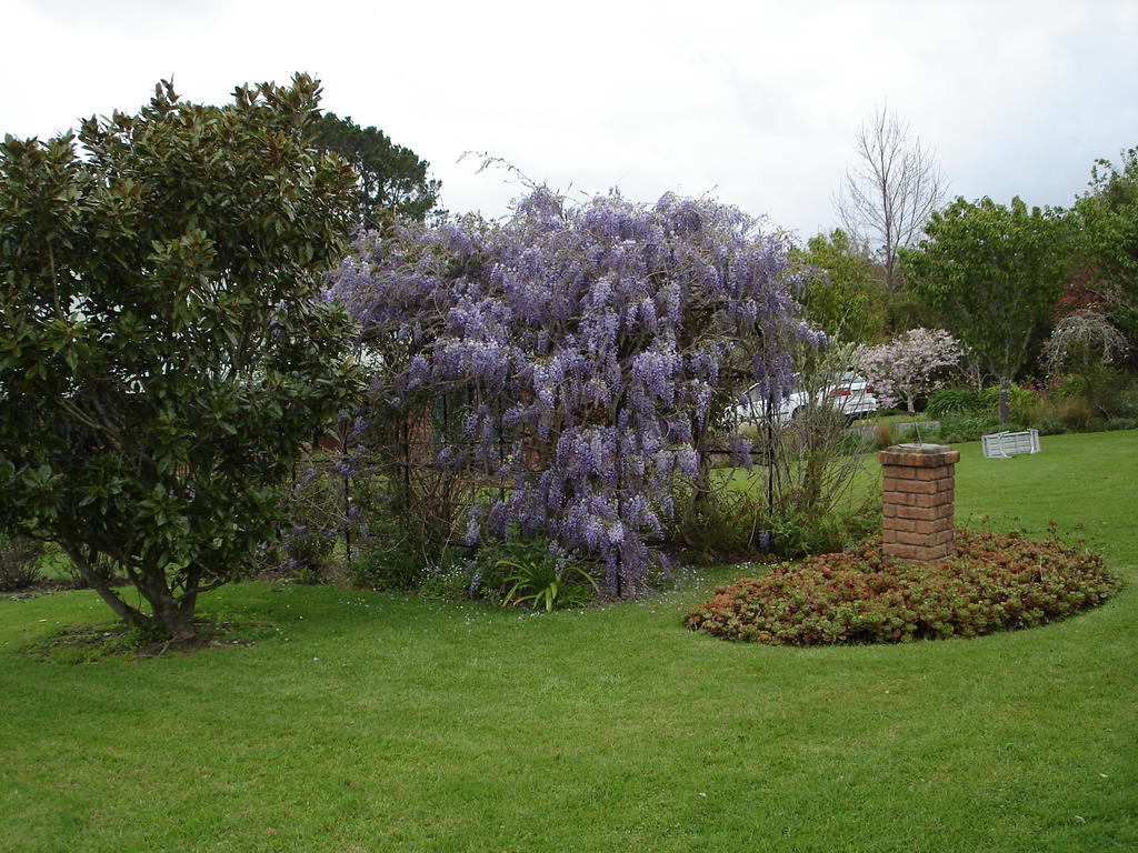 Warkworth Country House Exterior foto